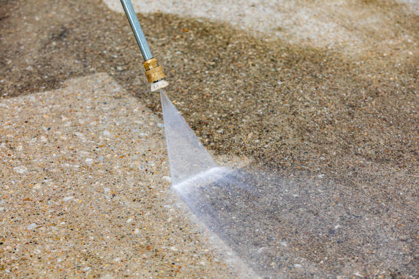 Best Animal Enclosure Cleaning  in Chesterfield, SC